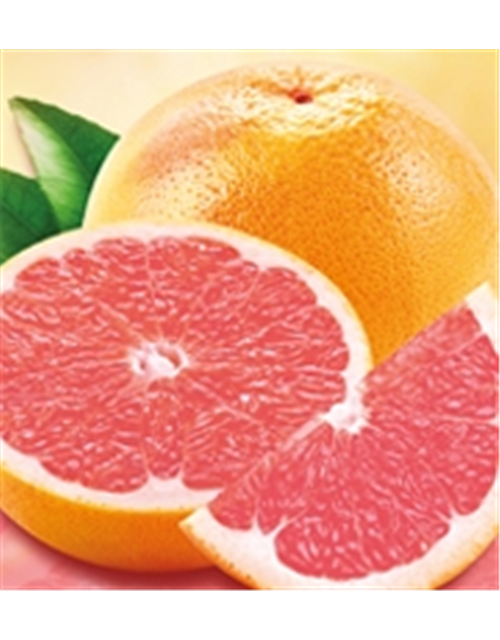 Palio Pink Grapefruit 