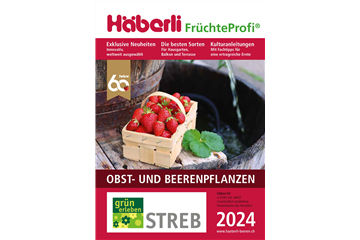 Häberli Früchteprofi 2024