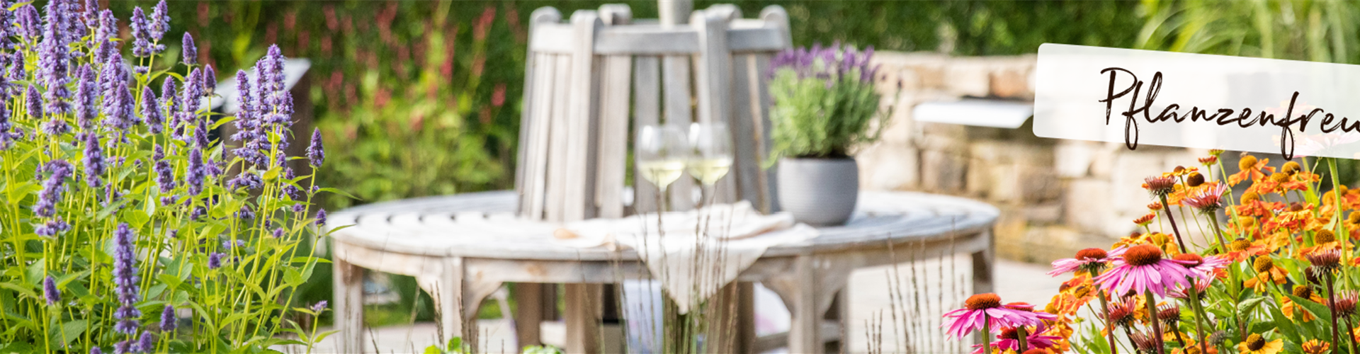 Pflanzen für Garten, Balkon und Terrasse