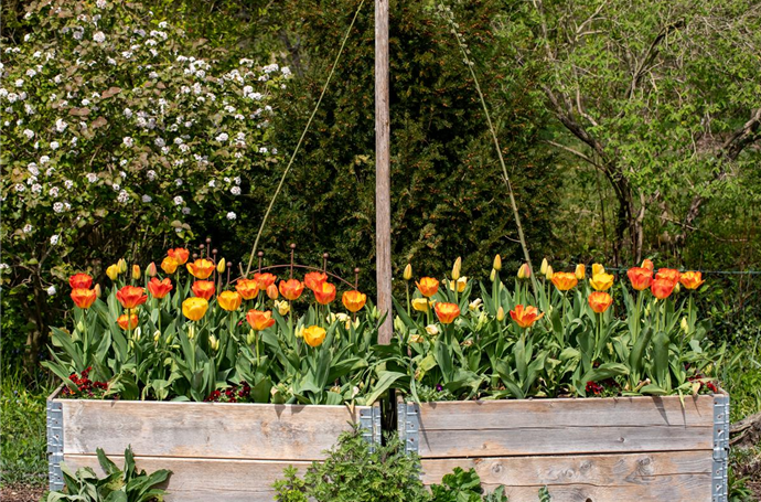 Hochbeete kaufen und in den Garten holen