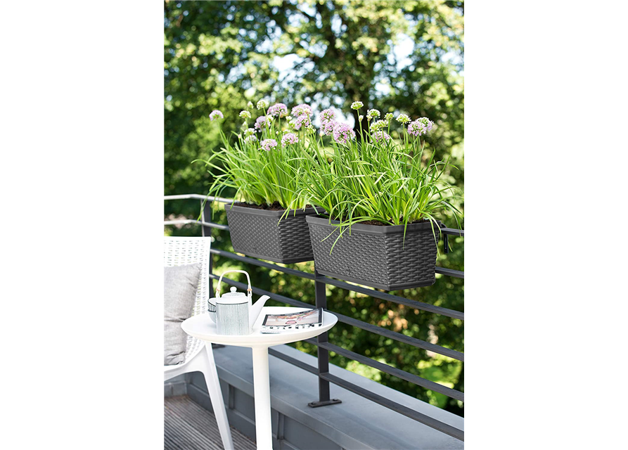 Emsa Blumenkasten für den Balkon 75cm, Selbstbewässerungssystem Casa