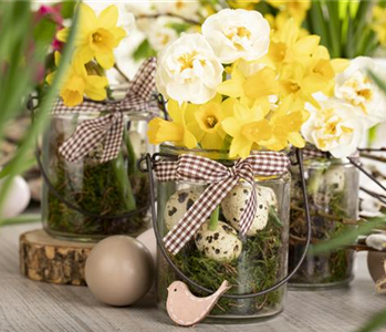 FRüHLINGSGEFüHLE AUS DER ZWIEBEL!