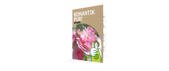 DER DUFT VON ROSEN! DER DUFT VON ROSEN!