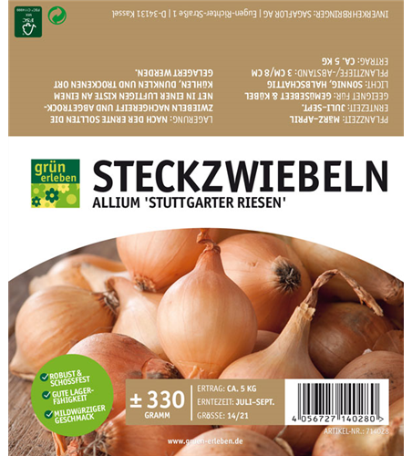 Steckzwiebeln Stuttgarter Riesen 