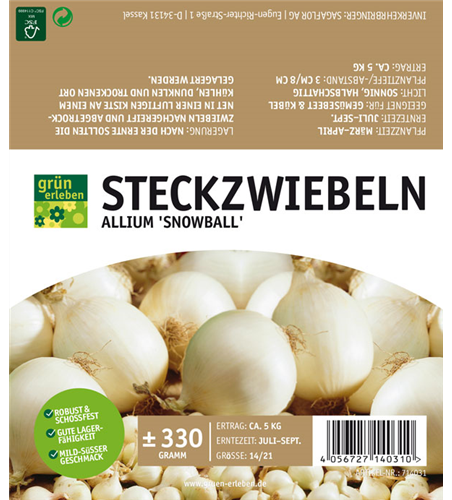 Steckzwiebel Snowball