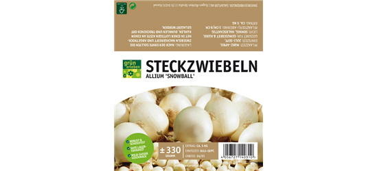 Steckzwiebel Snowball