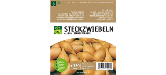 Steckzwiebel Birnenförmige