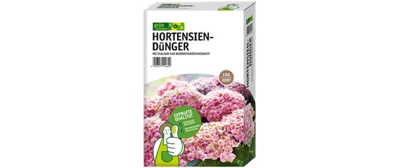 Hortensie
