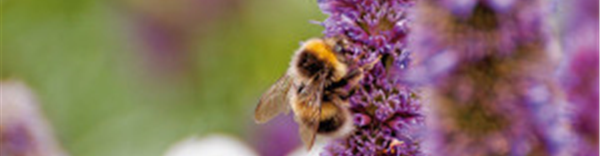 DAS GROSSE KRABBELN! 