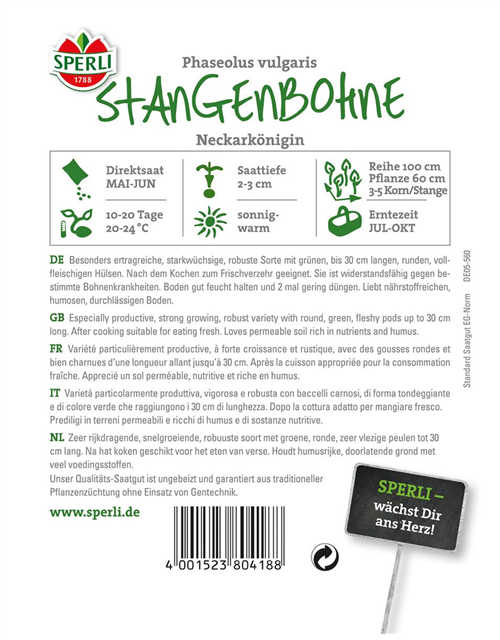 Stangenbohnen Neckarkönigin