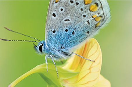 ALLES BIO, ODER WAS? 