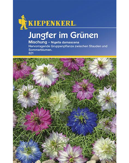 Jungfer im Grünen
