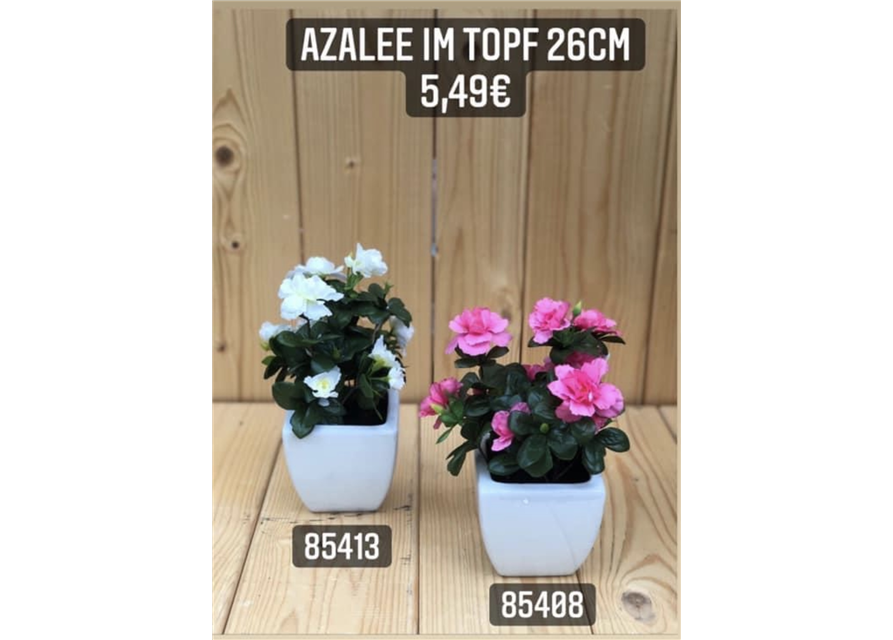 Azalee
