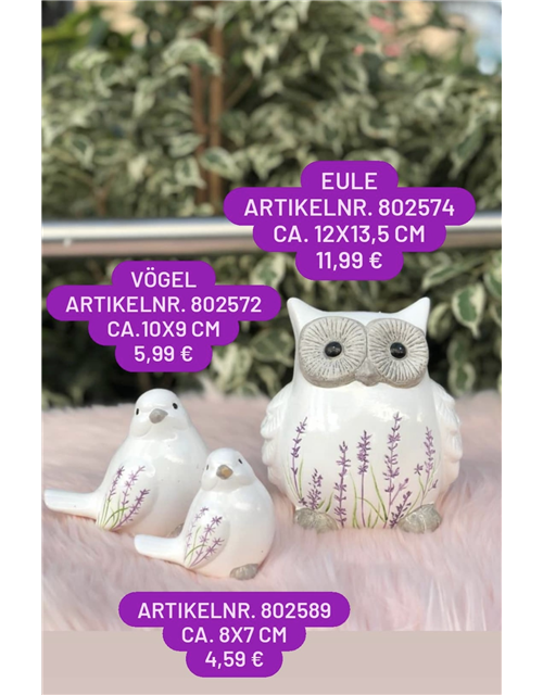 Eule
