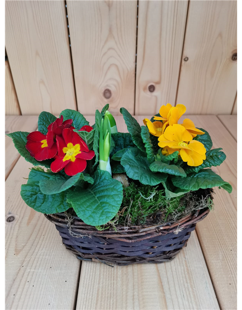 Frühlingskorb Gärtnerei 