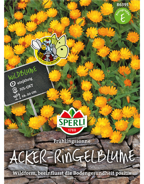 Ringelblume Frühlingssonne