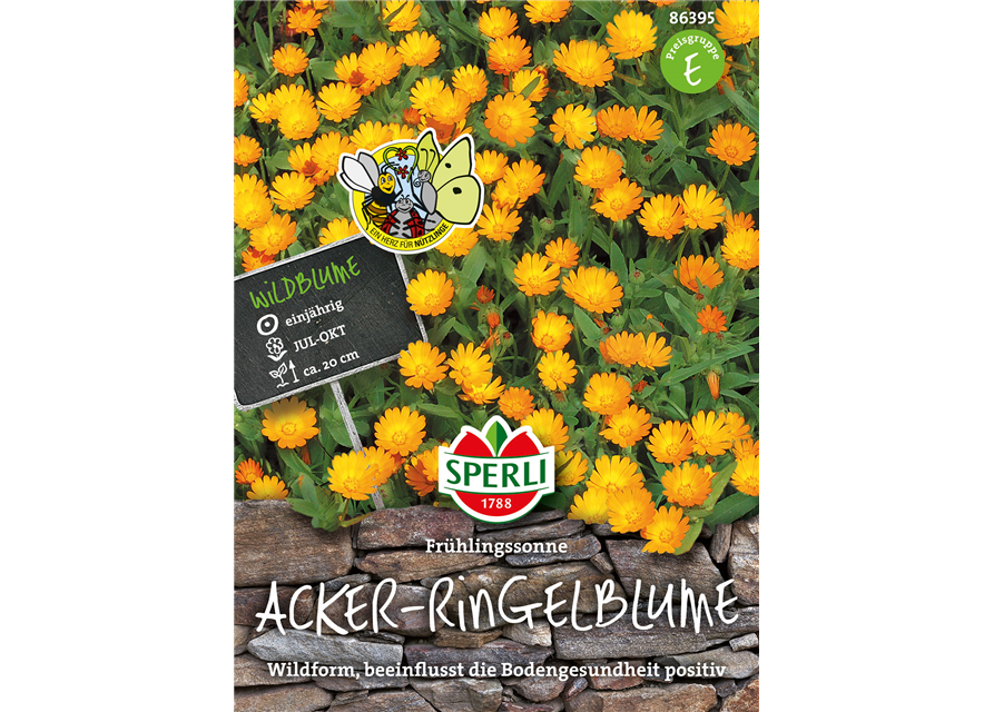 Ringelblume Frühlingssonne