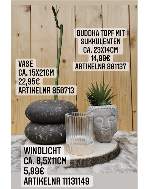 Buddhakopf mit Sukkulente