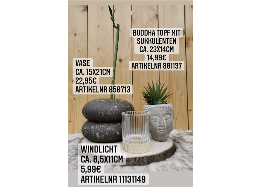 Buddhakopf mit Sukkulente