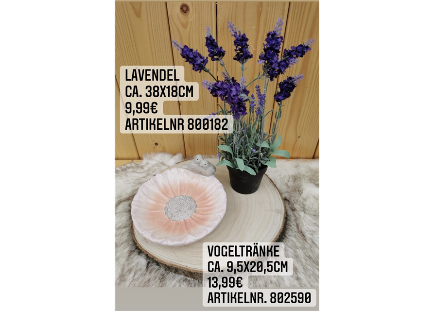Vogeltränke