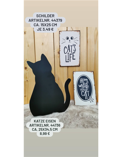 Katze