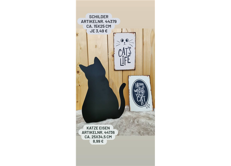 Katze