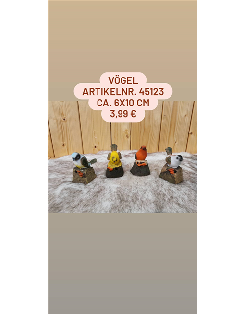 Vogel