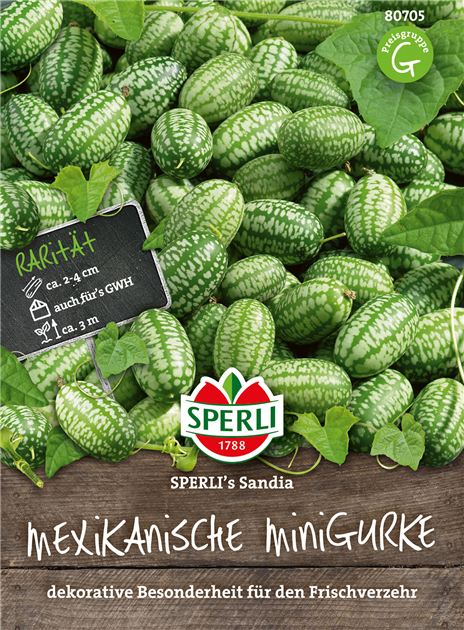 Mexikanische Minigurke, Sperli Saatgut