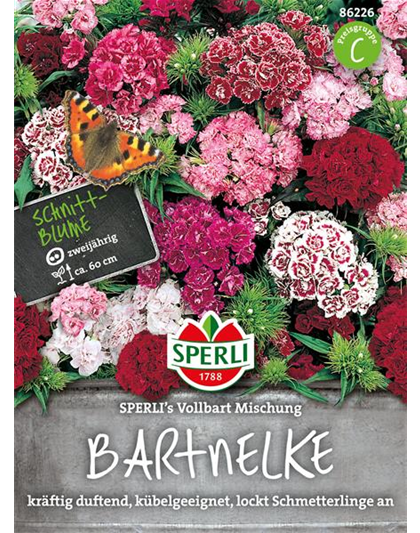 Bartnelken Vollbart Mix