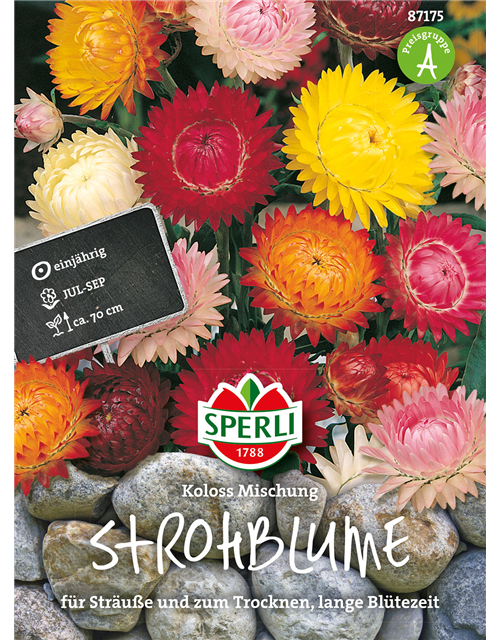 Strohblume Koloss Mischung