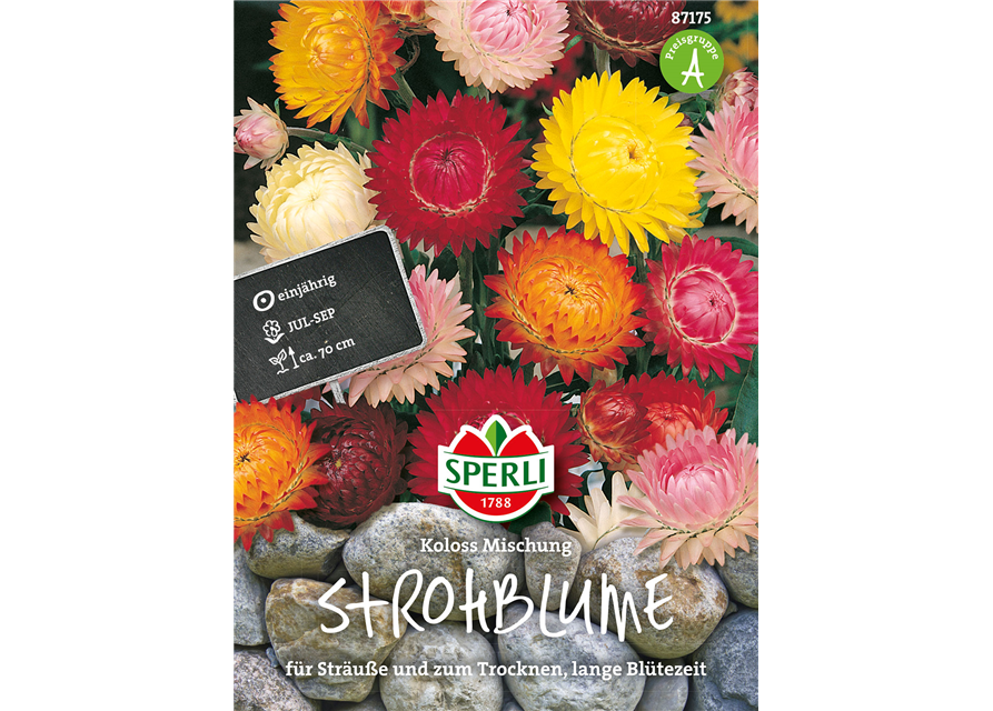 Strohblume Koloss Mischung