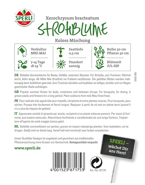 Strohblume Koloss Mischung
