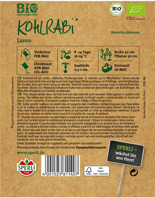 Bio Kohlrabi weiß