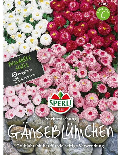 Gänseblümchen Prachtmischung