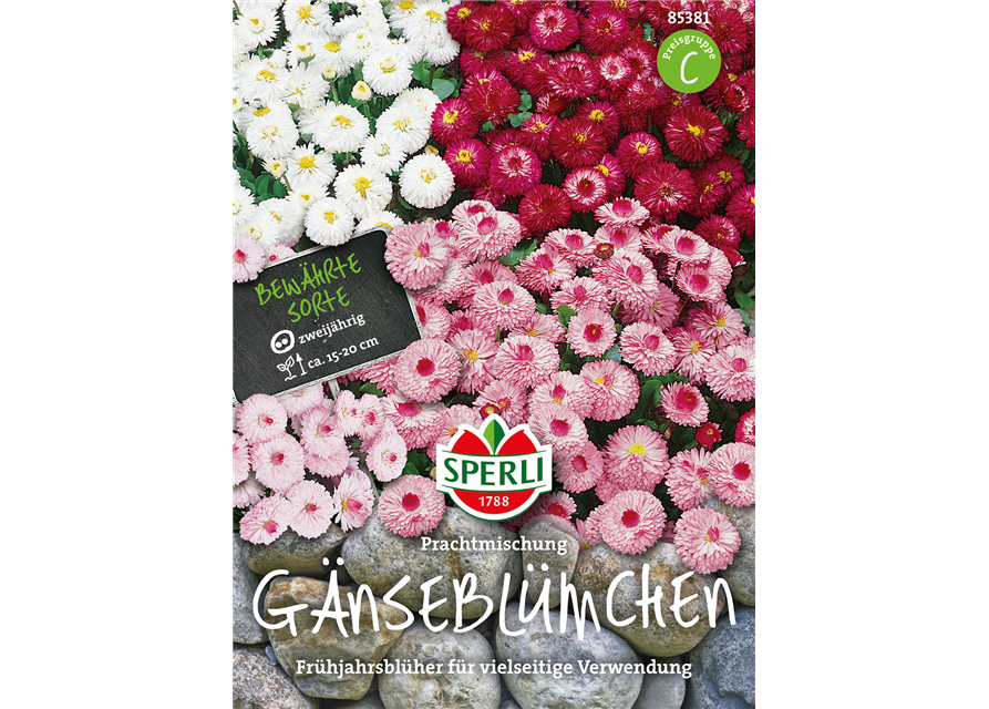 Gänseblümchen Prachtmischung