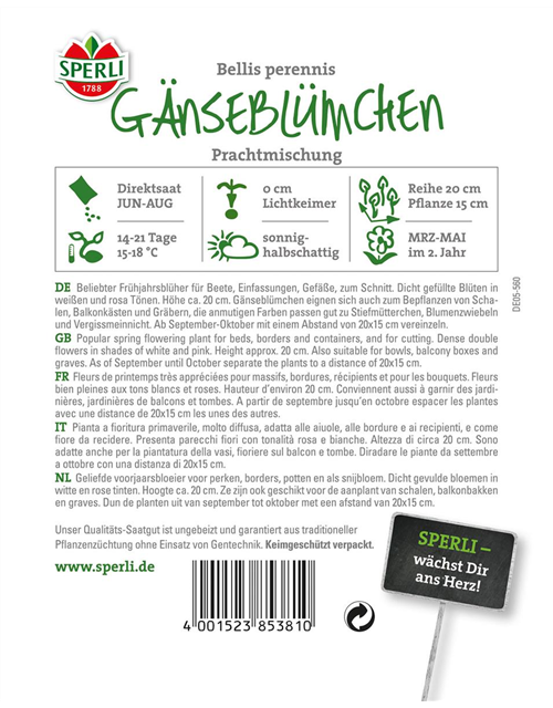 Gänseblümchen Prachtmischung