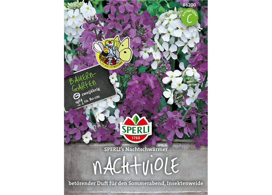 Nachtviolen Nachtschwärmer 