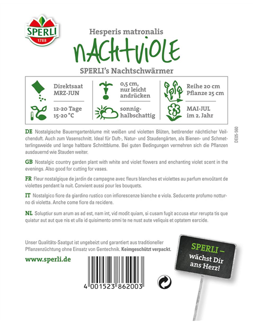 Nachtviolen Nachtschwärmer 