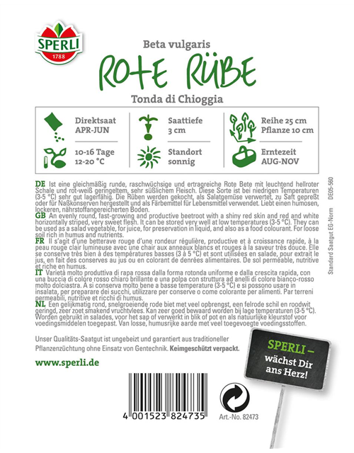 Rote Rüben Tondo di Chioggia