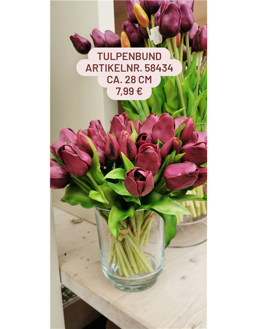 Tulpenbund