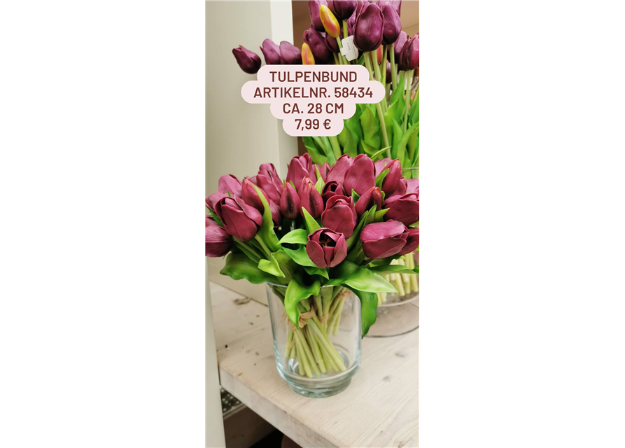 Tulpenbund