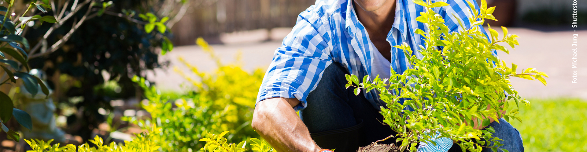 WäNDE FüR DAS GRüNE ZIMMER!
