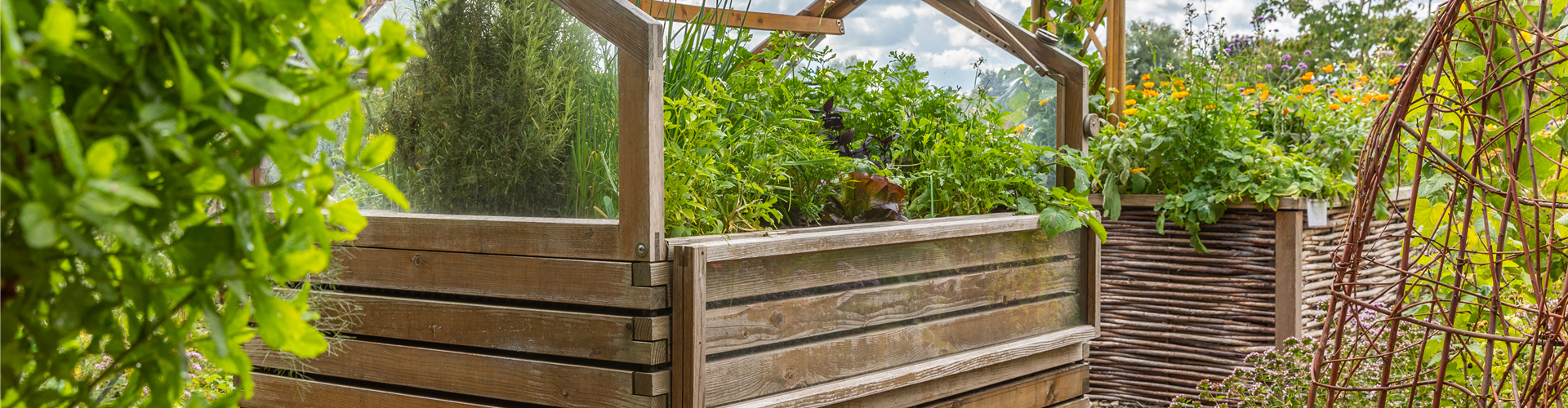 Hochbeet 