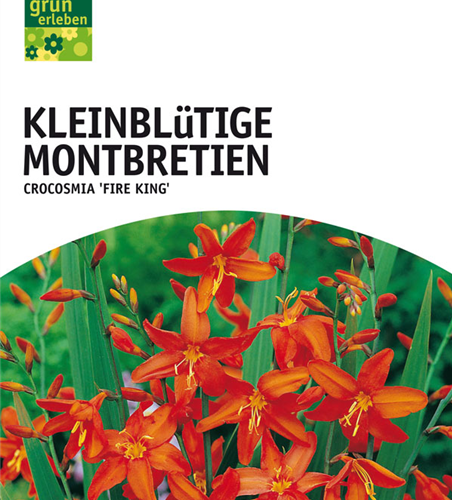 Montbretien Fire King 