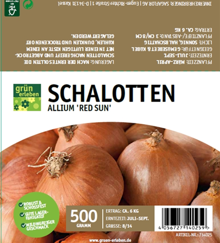 Schalotte Red Sun 