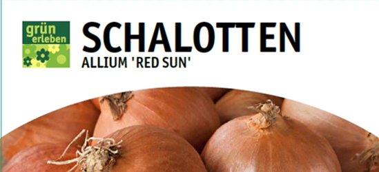 Schalotte Red Sun 