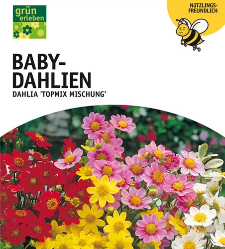 Dahlien Bienenfreundliche Topmix Mischung