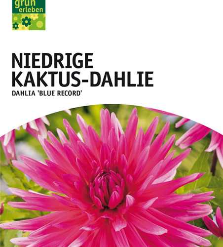 Dahl. Blue Record x1