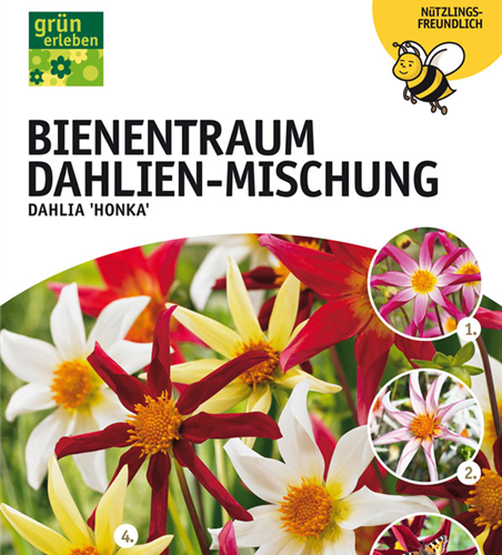 Dahl. Bienentraum Mischung x4