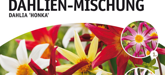 Dahl. Bienentraum Mischung x4